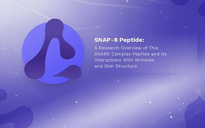SNAP-8 Peptide: A Research Overview of This SNARE Complex Peptide and Its Interactions With Wrinkles and Skin Structure
